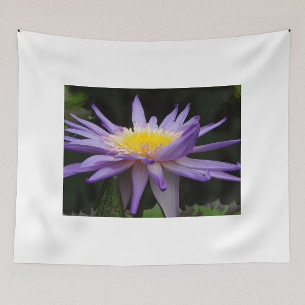 Item preview, Water lily flower designed and sold by CremildeG.