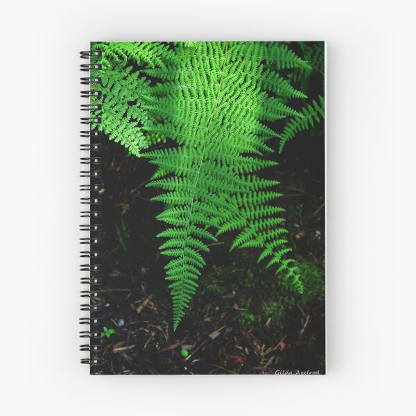 Item preview, Ferns in the Light designed and sold by Gilda Axelrod.