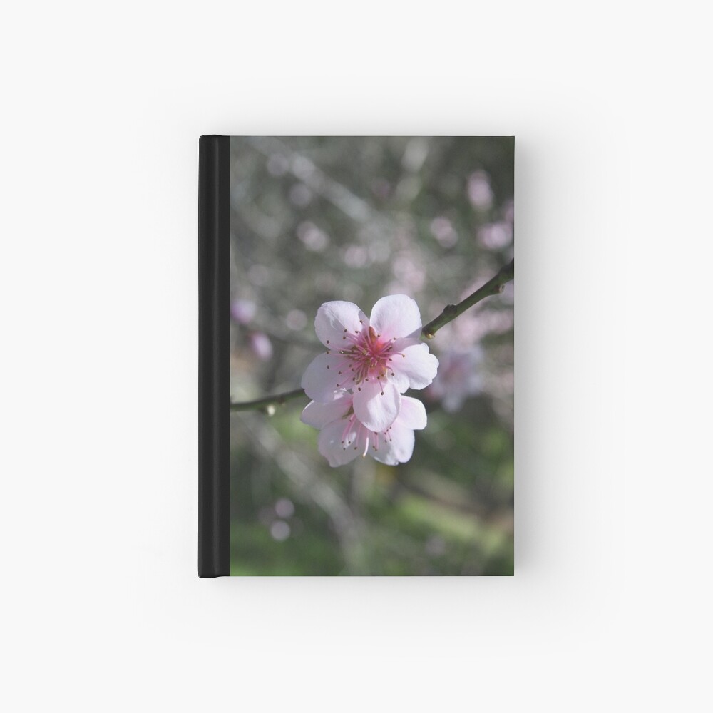 Almond blossom Hardcover Journal