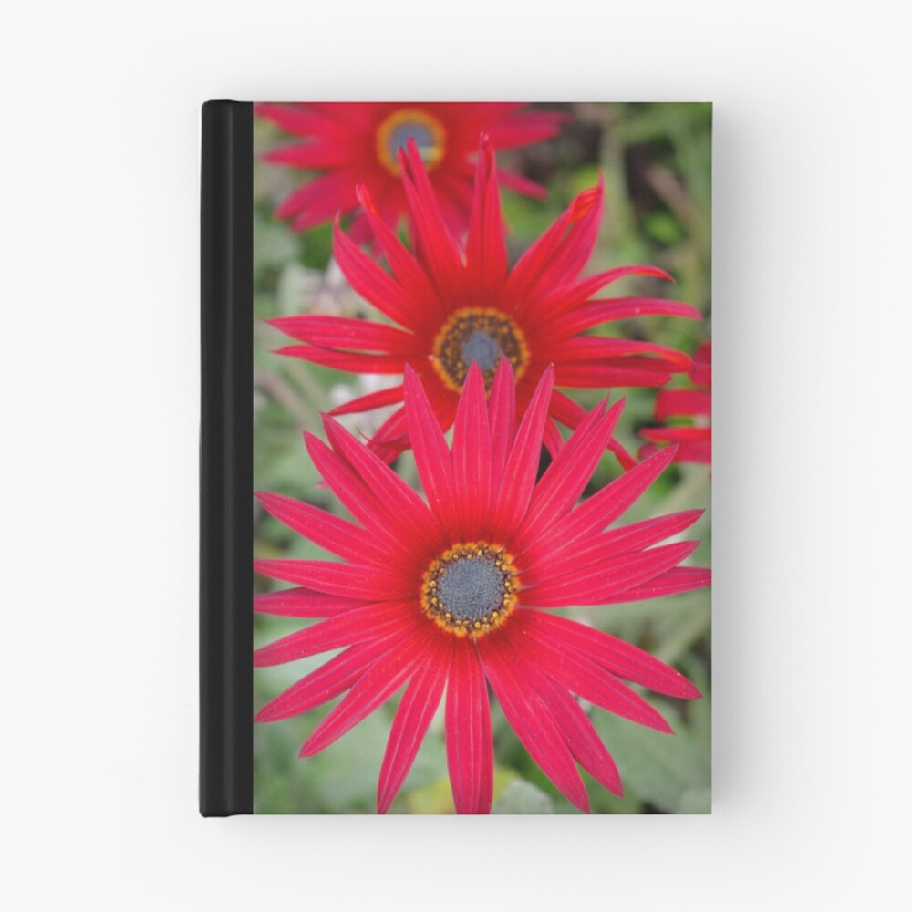 Item preview, Hardcover Journal designed and sold by partyofive.