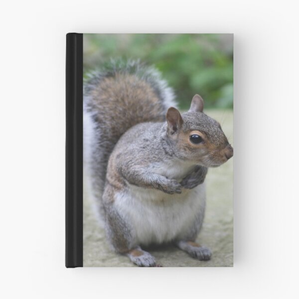 Item preview, Inquisative designed and sold by Paul McGuire.