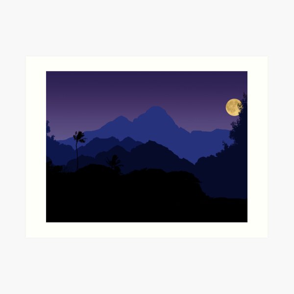 747 Art Print