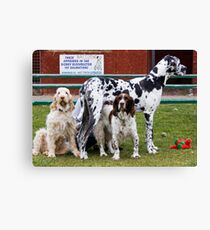 Anyone Seen My Mates? Canvas Print