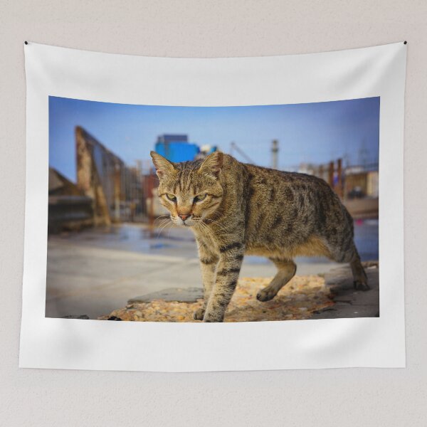 Item preview, Urban Panther  designed and sold by Anna Se.