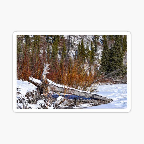 Item preview, Fire Bush designed and sold by CanadianWild418.