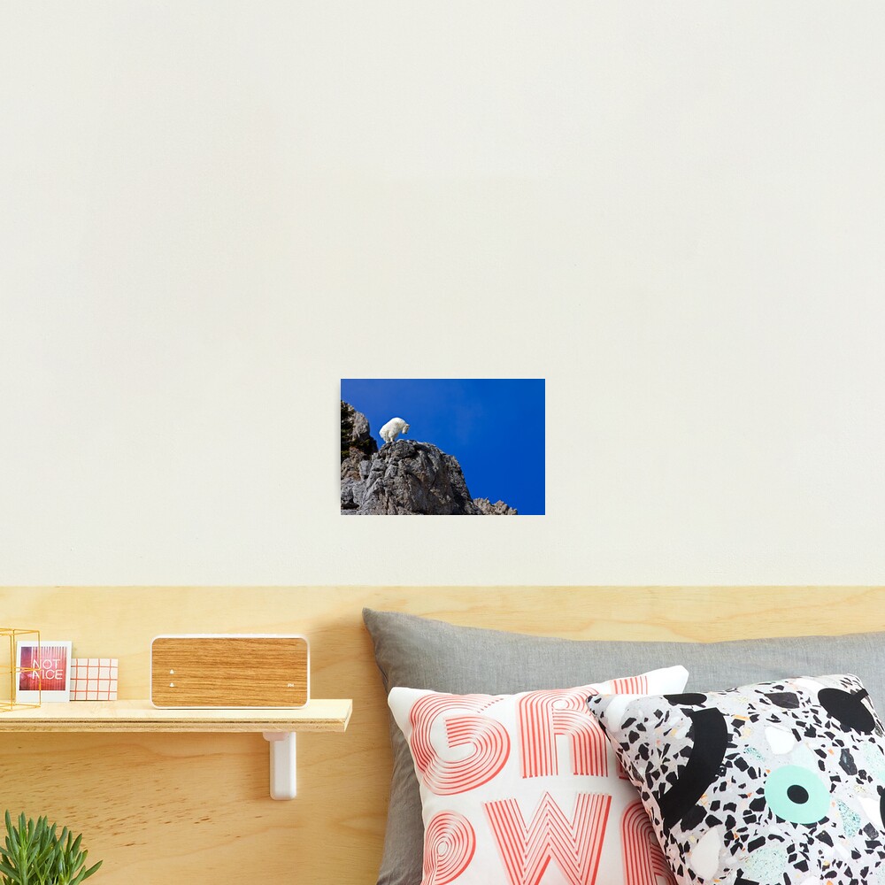 On Top Of The World Photographic Print
