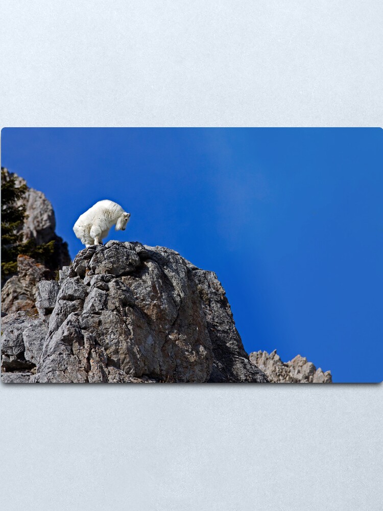 Alternate view of On Top Of The World Metal Print