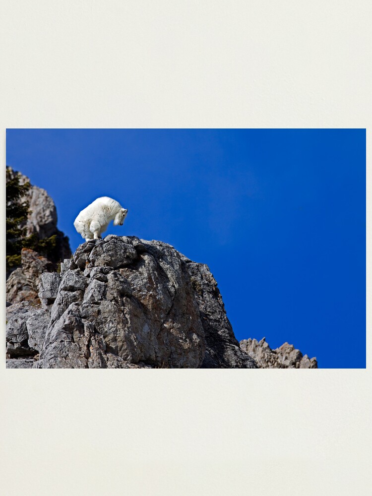Alternate view of On Top Of The World Photographic Print