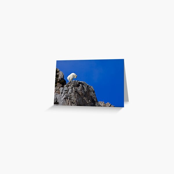On Top Of The World Greeting Card