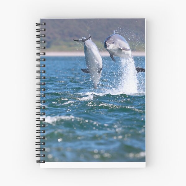 Item preview, Wild dolphins breaching designed and sold by chanonry.