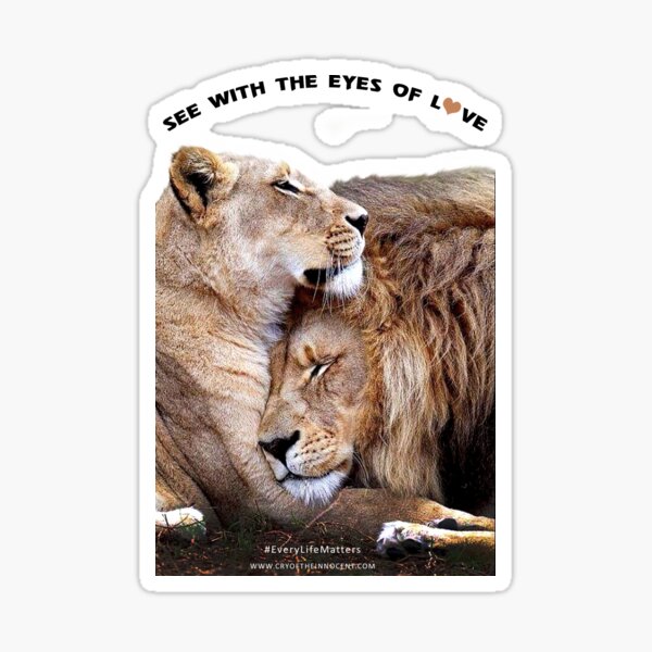 See With The Eyes of Love Sticker