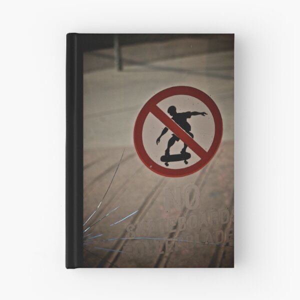 Aperçu de l'œuvre Aww No Skateboarding?!?!? créée et vendue par andapanda.