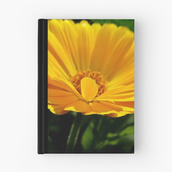 Item preview, Calendula designed and sold by Northcote Community  Gardens.