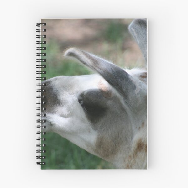 Item preview, portrait of a Llama designed and sold by RichImage.