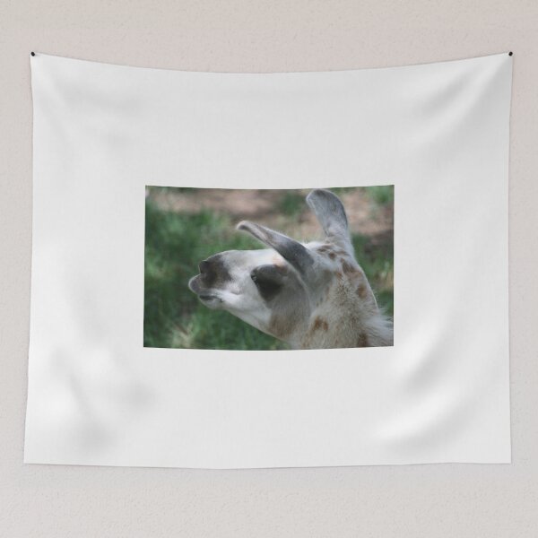 Item preview, portrait of a Llama designed and sold by RichImage.