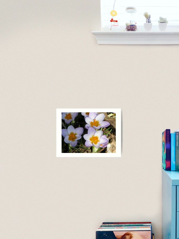 Thumbnail 2 of 3, Art Print, Hello Spring designed and sold by John Easterhouse.