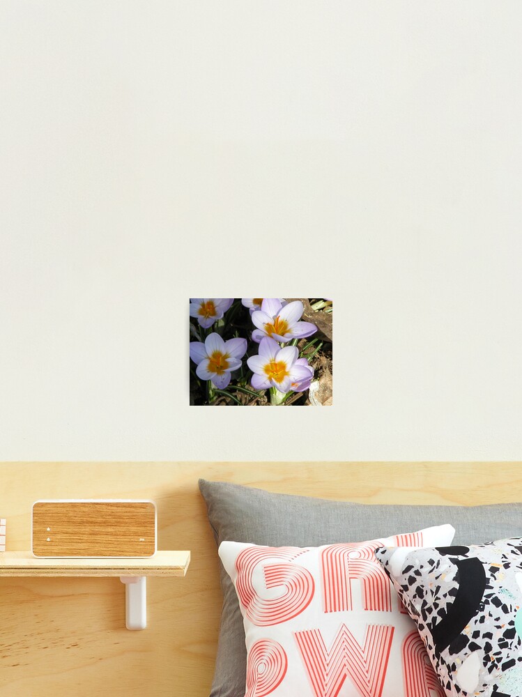 Thumbnail 2 of 3, Photographic Print, Hello Spring designed and sold by Rrawketman.