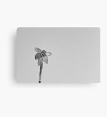 Flower Canvas Print