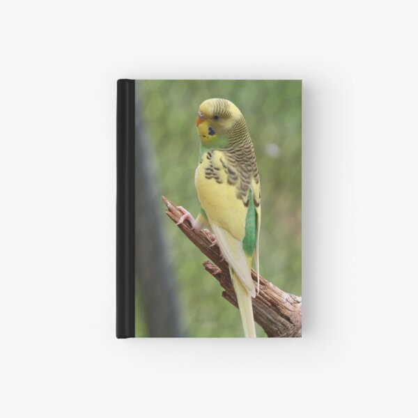 Parakeet #9 Hardcover Journal