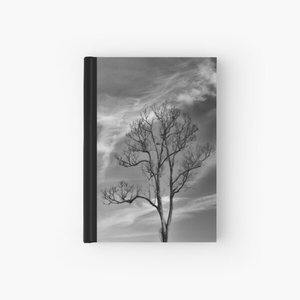 Naked Tree Hardcover Journal