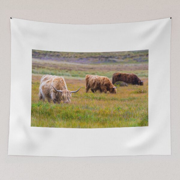 Item preview, Scottish Highland Cows designed and sold by Adrian Alford Photography.