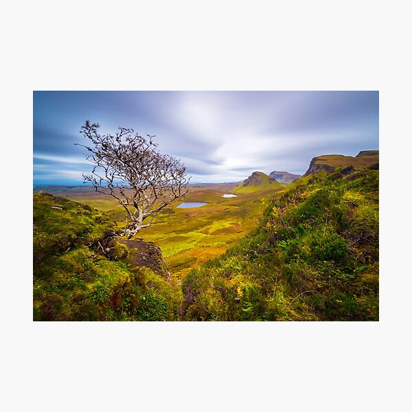 Item preview, Quiraing Tree designed and sold by Adrian Alford Photography.