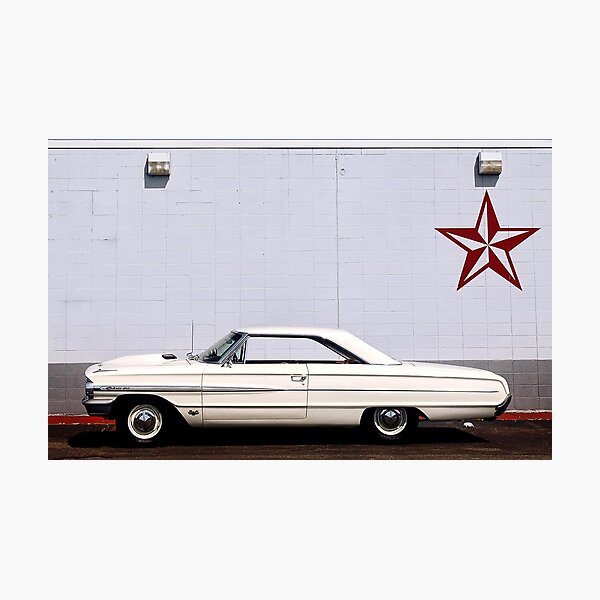 The Star Of The Show Photographic Print