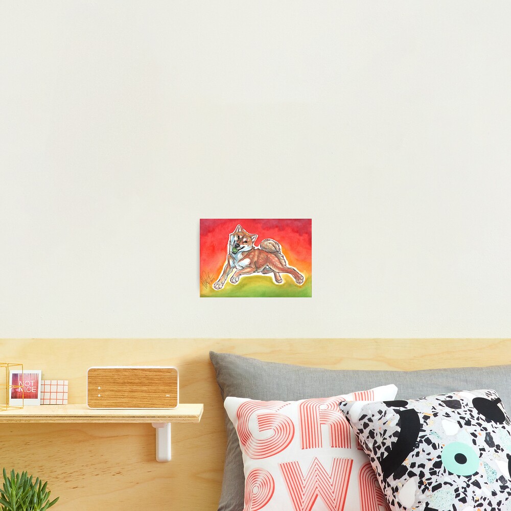 Shiball Photographic Print