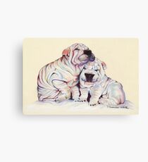 SNUGGLES Canvas Print