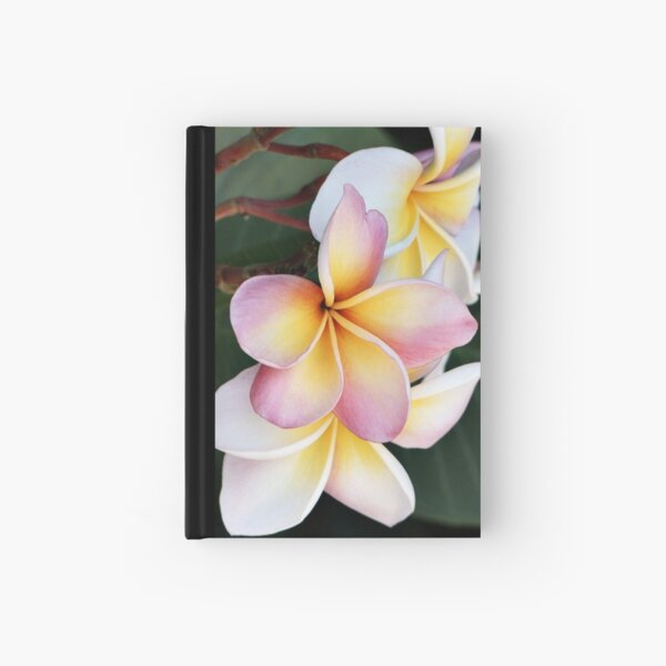 Soft Swirls Too Hardcover Journal