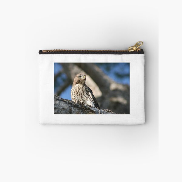 Item preview, Cooper's Hawk close up designed and sold by RichImage.