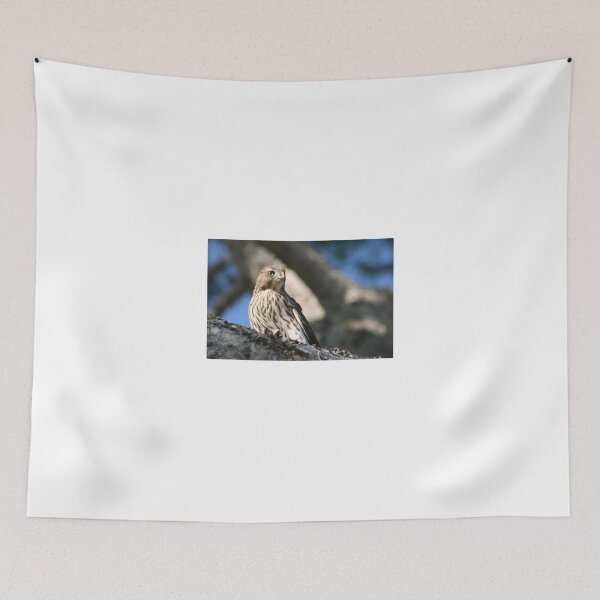Item preview, Cooper's Hawk close up designed and sold by RichImage.