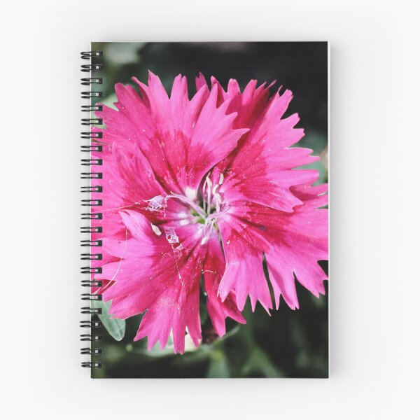 Item preview, Flower designed and sold by Jodie Cooper.