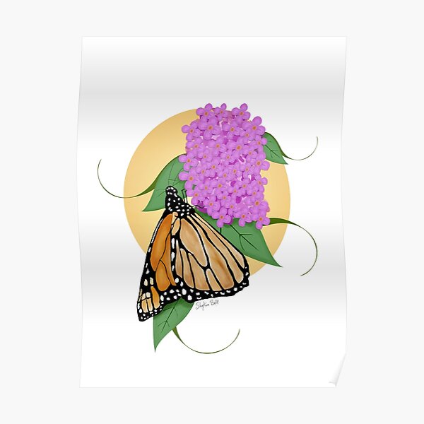 Butterfly Poster