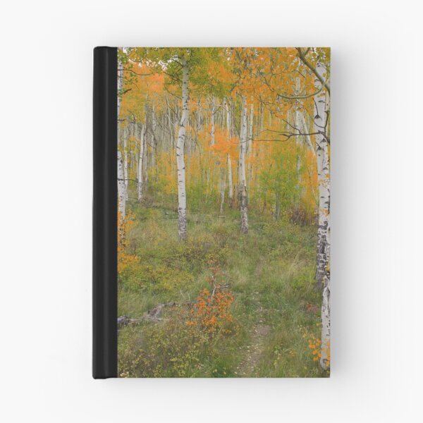Aperçu de l'œuvre Fall in Silverthorne créée et vendue par Craig Forhan.