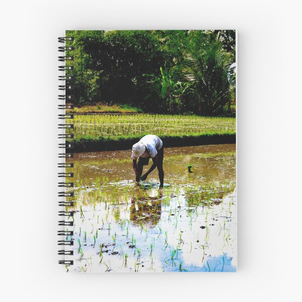 Item preview, The Rice Harvester designed and sold by Marylou Badeaux.