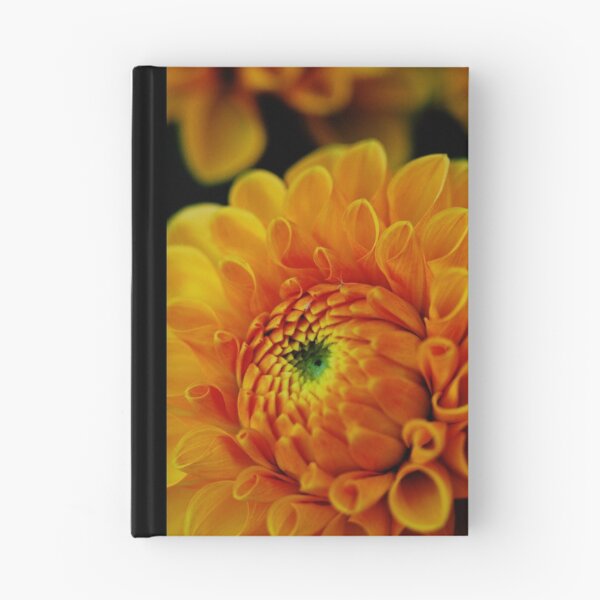 Item preview, Mornings designed and sold by DavidROMAN.