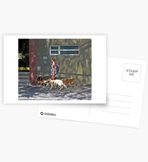 Nuevo Oficio................. Postcards