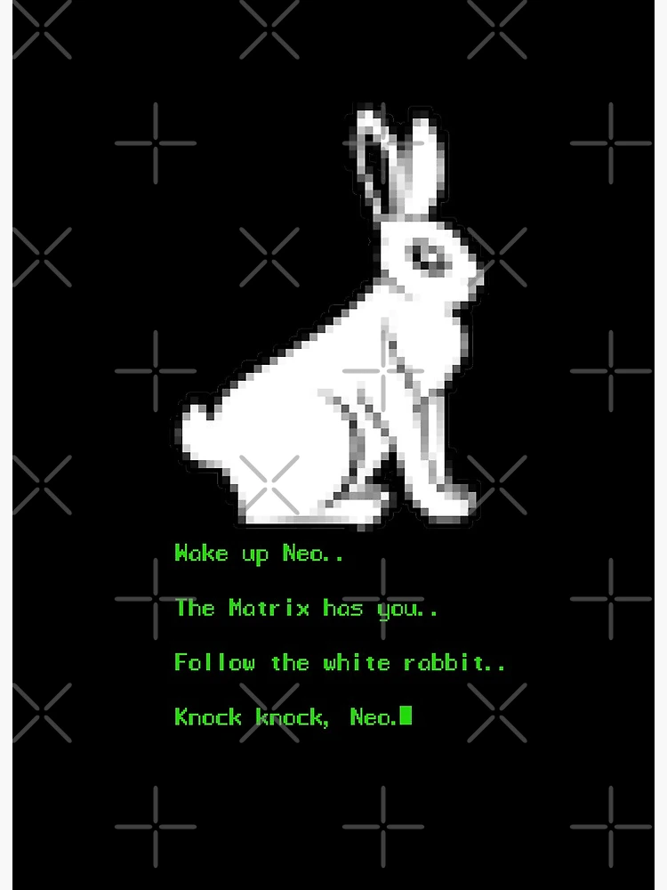 White Rabbit Matrix Quotes