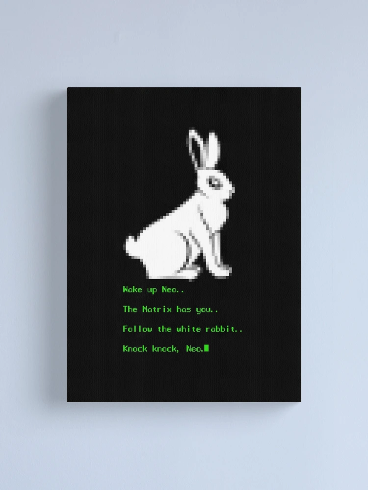 Wake up Neo, Follow the White Rabbit