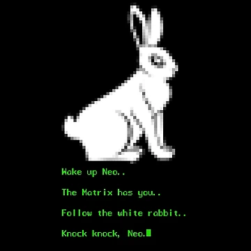 Wake up Neo, Follow the White Rabbit