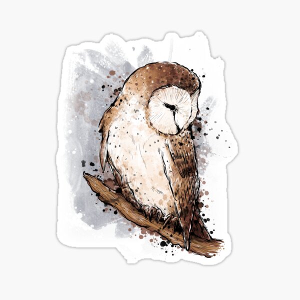Barn Owl Star Bird Stickers - Watercolor Owl Sticker For Birds