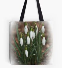 Spring Spirit Tote Bag