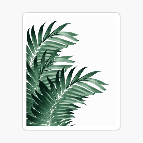 Vista previa del artículo con la obra «Hojas de palma Vibra Verde Tropical # 3 #trópico #decor #arte», diseñado y vendido por Anita's & Bella's Art.