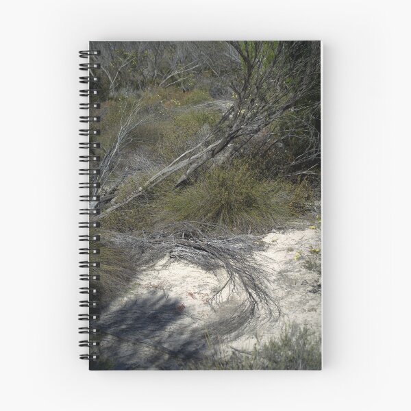 Item preview, An Old Dune designed and sold by Ben Loveday.