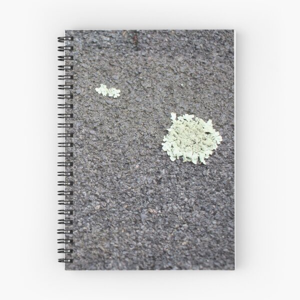 Item preview, Shingles 9 designed and sold by Logan McCarthy.
