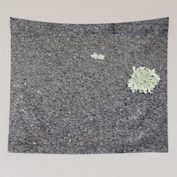 Item preview, Shingles 9 designed and sold by Logan McCarthy.
