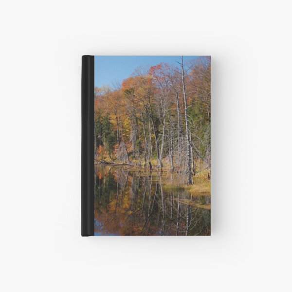 A Beautiful Swamp Hardcover Journal