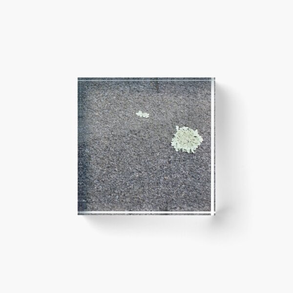 Item preview, Shingles 9 designed and sold by Logan McCarthy.
