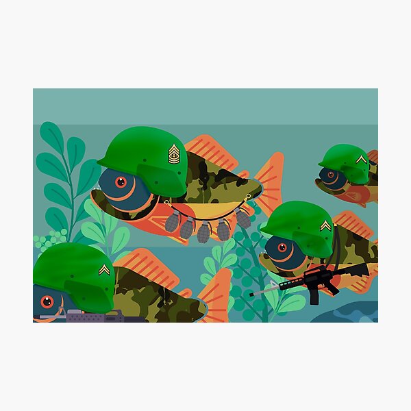 Reconnaissance Mission Photographic Print